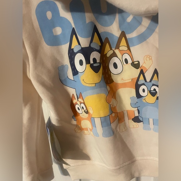 Bluey Toddler Boys 2PC Hoodie Jogger Set 5T Fleece Outfit Cartoon! NWT! - Picture 14 of 15